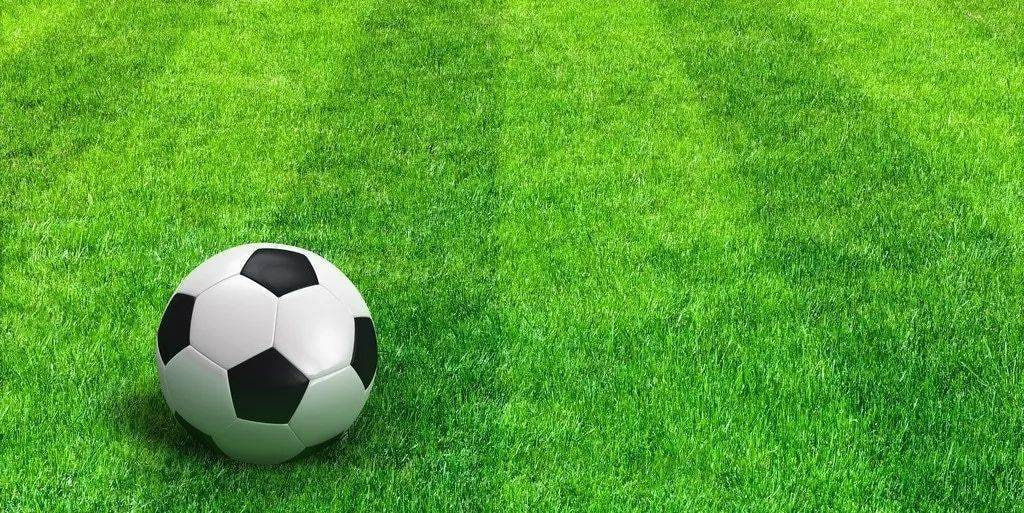 足球数据研究者场景